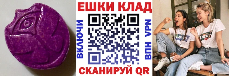 где продают Киржач ЭКСТАЗИ Philipp Plein