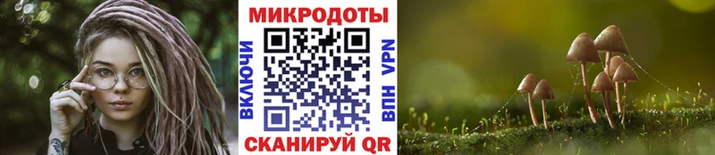 Галлюциногенные грибы мицелий Киржач