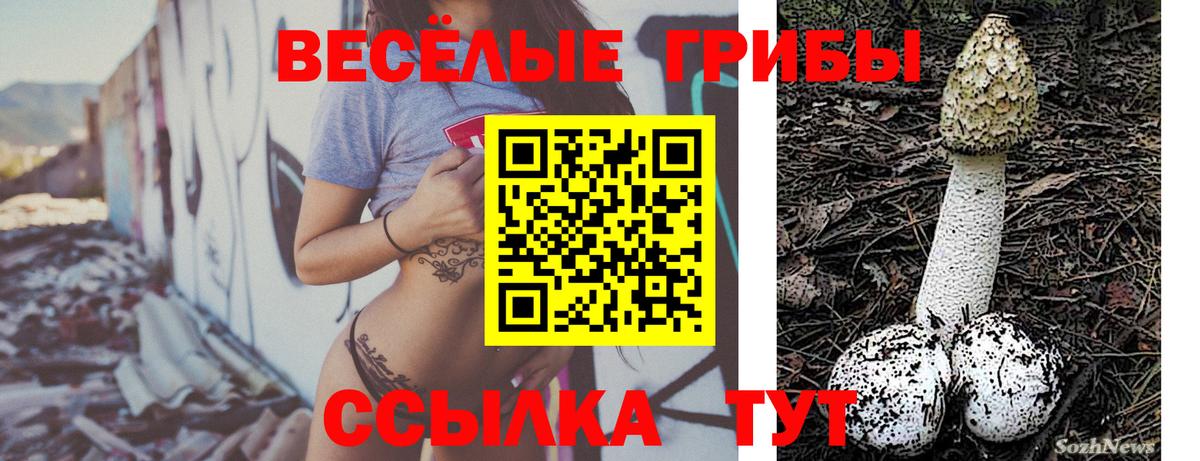 Галлюциногенные грибы MAGIC MUSHROOMS Киржач